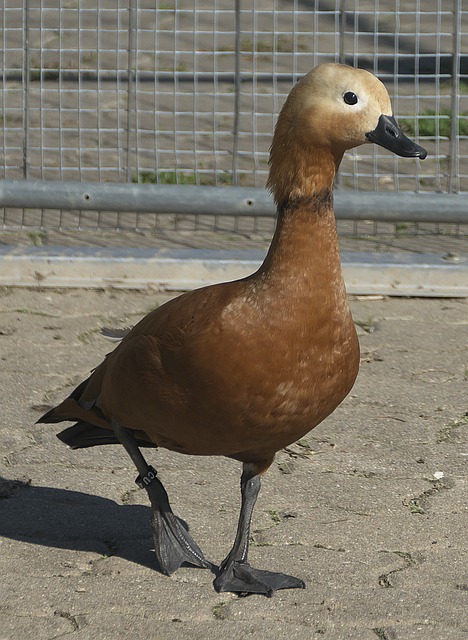 再次證明其