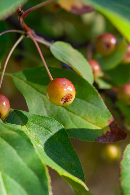 但代价和挑 但代价和挑