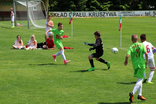 力于达拉斯 力于达拉斯