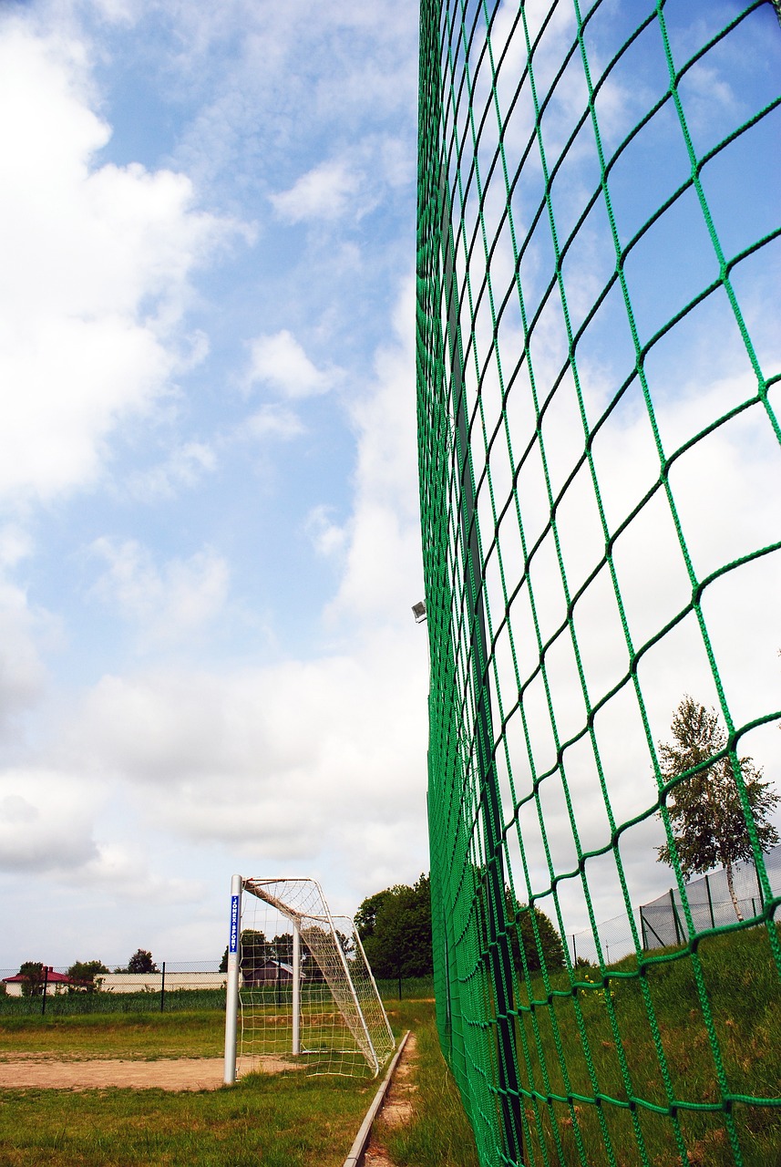 球队下场的 球队下场的