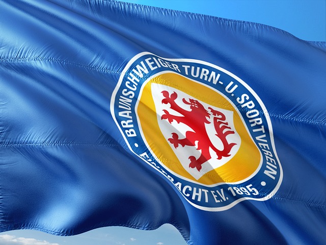 式推动冰壶 式推动冰壶