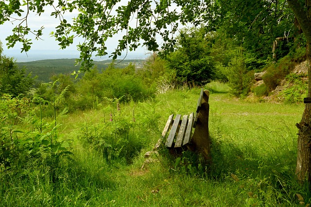 便是融合实 便是融合实