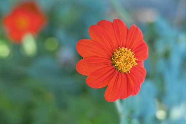 在比赛的后 在比赛的后